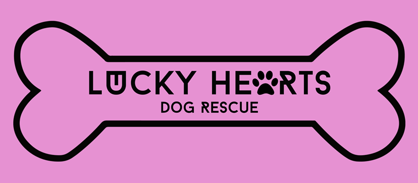 Lucky Hearts Dog Rescue